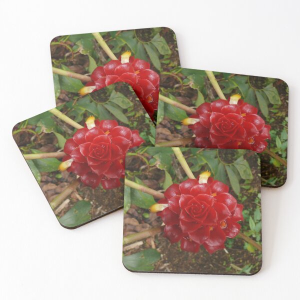 Item preview, Flor roja - Martinica, FWI designed and sold by Olivia Son.