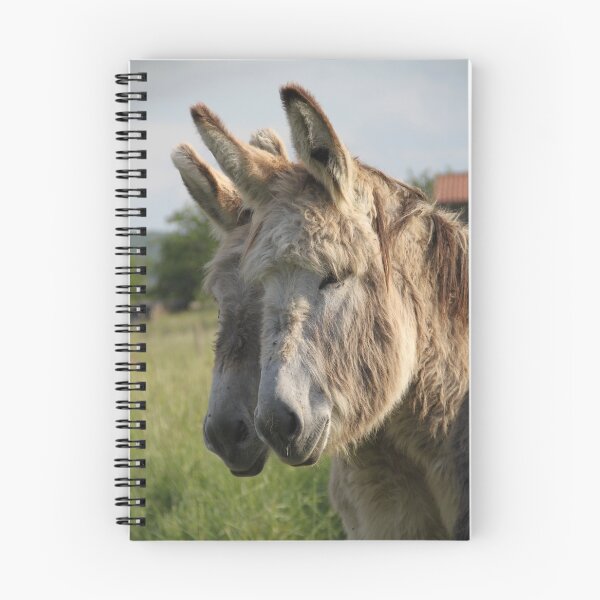 Item preview, Adorable grey donkeys in the high grass meadow	 designed and sold by EstelleRossetti.