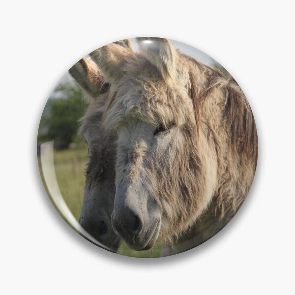 Item preview, Adorable grey donkeys in the high grass meadow	 designed and sold by EstelleRossetti.
