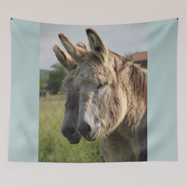Item preview, Adorable grey donkeys in the high grass meadow	 designed and sold by EstelleRossetti.