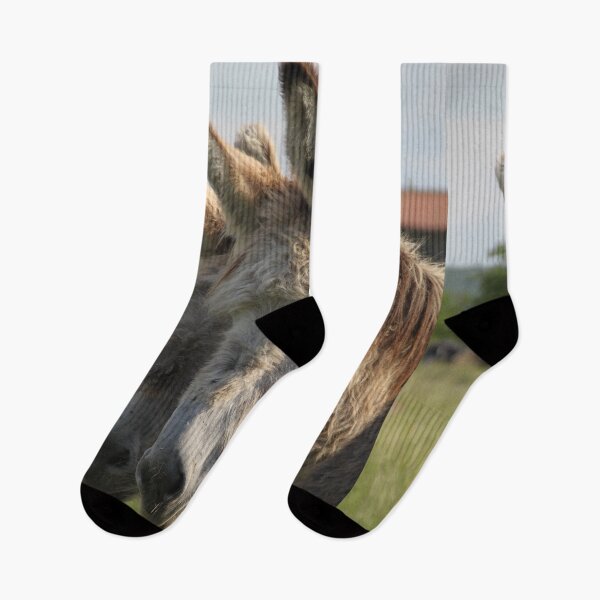 Item preview, Adorable grey donkeys in the high grass meadow	 designed and sold by EstelleRossetti.