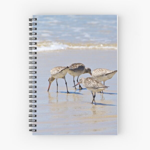 Item preview, SHOREBIRD ~ Bar-tailed Godwit 7EkAD5QR by David Irwin designed and sold by tasmanianartist.