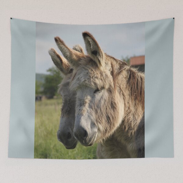 Item preview, Adorable grey donkeys in the high grass meadow	 designed and sold by EstelleRossetti.