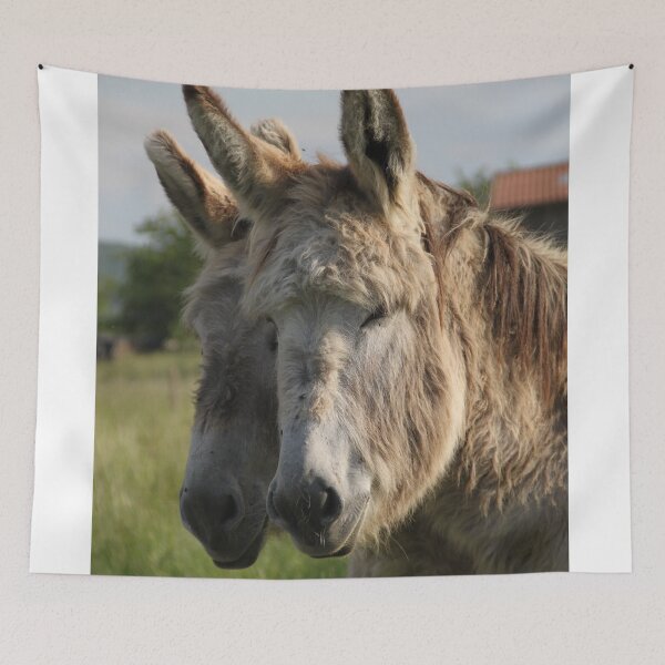 Item preview, Adorable grey donkeys in the high grass meadow	 designed and sold by EstelleRossetti.