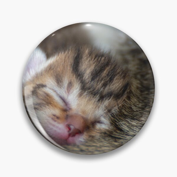 Item preview, Newborn kittens designed and sold by Kitzzeh.