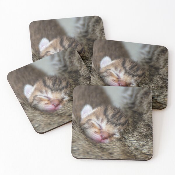 Item preview, Newborn kittens designed and sold by Kitzzeh.