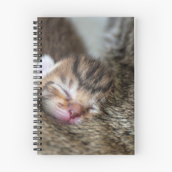 Item preview, Newborn kittens designed and sold by Kitzzeh.