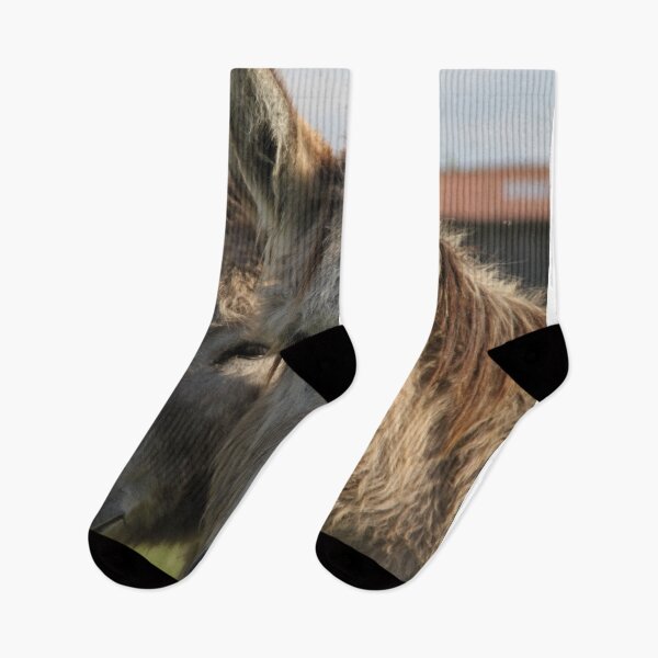 Item preview, Adorable grey donkeys in the high grass meadow	 designed and sold by EstelleRossetti.