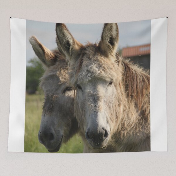 Item preview, Adorable grey donkeys in the high grass meadow	 designed and sold by EstelleRossetti.
