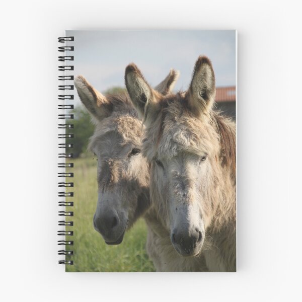 Item preview, Adorable grey donkeys in the high grass meadow	 designed and sold by EstelleRossetti.