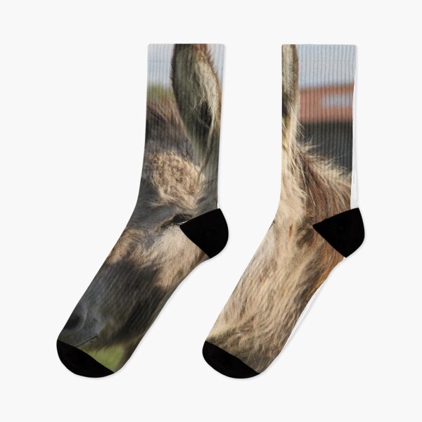 Item preview, Adorable grey donkeys in the high grass meadow	 designed and sold by EstelleRossetti.