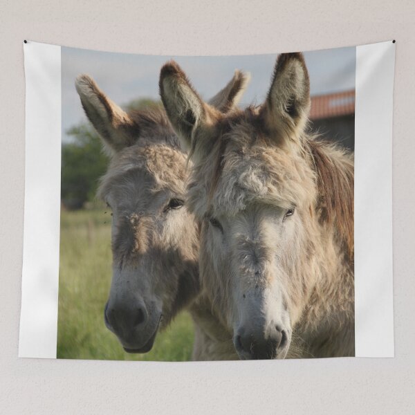 Item preview, Adorable grey donkeys in the high grass meadow	 designed and sold by EstelleRossetti.