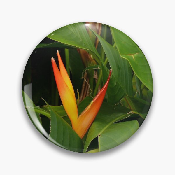 Item preview, Bird Of Paradise - Martinique, FWI designed and sold by Olivia Son.