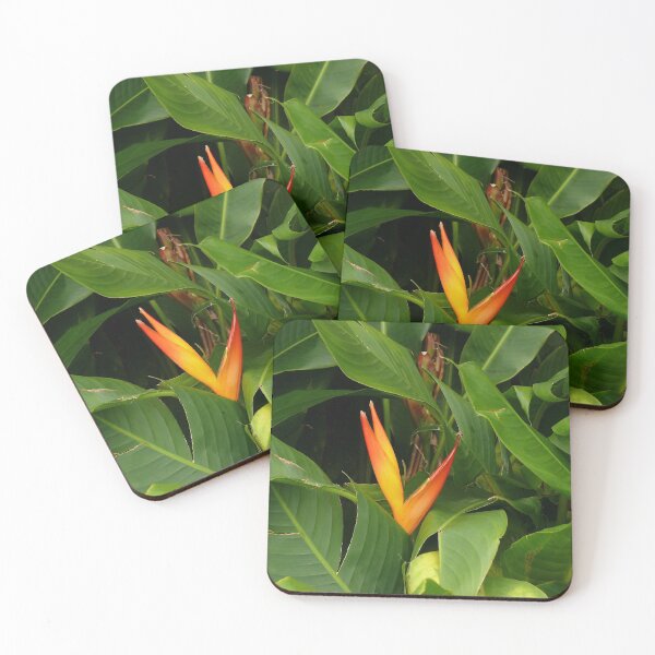 Item preview, Bird Of Paradise - Martinique, FWI designed and sold by Olivia Son.