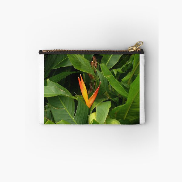 Item preview, Bird Of Paradise - Martinique, FWI designed and sold by Olivia Son.