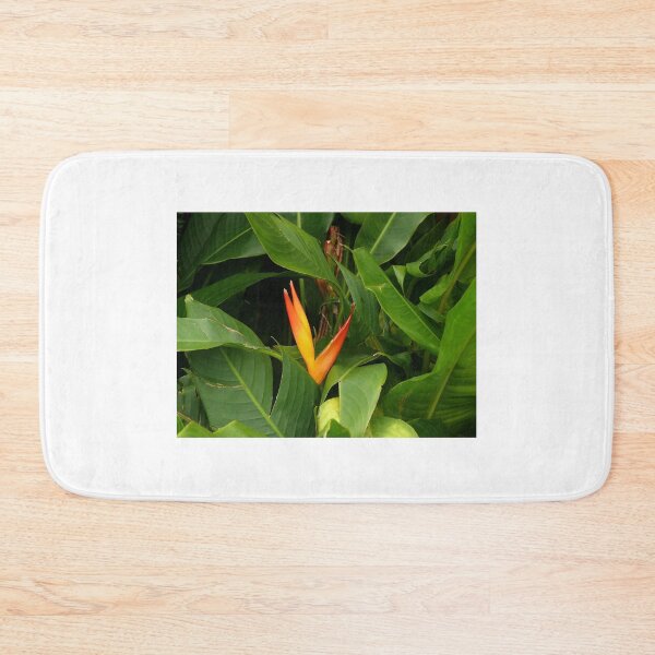 Item preview, Bird Of Paradise - Martinique, FWI designed and sold by Olivia Son.