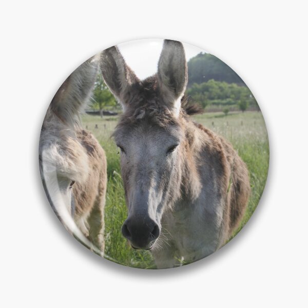 Item preview, Adorable grey donkeys in the high grass meadow	 designed and sold by EstelleRossetti.