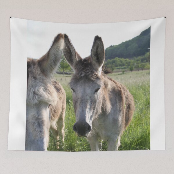 Item preview, Adorable grey donkeys in the high grass meadow	 designed and sold by EstelleRossetti.