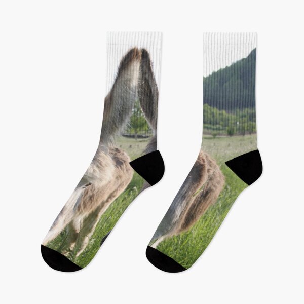 Item preview, Adorable grey donkeys in the high grass meadow	 designed and sold by EstelleRossetti.