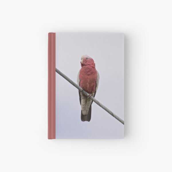 Item preview, PARROT ~ Galah LZZvGqEr by David Irwin designed and sold by tasmanianartist.