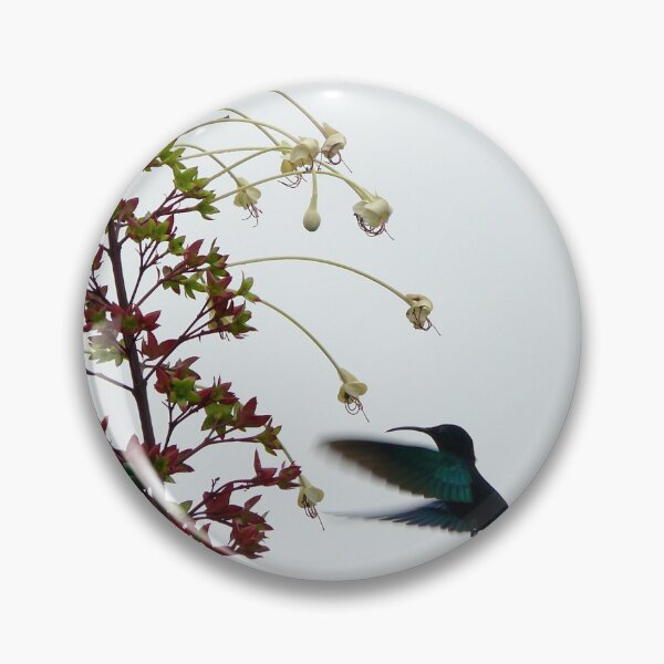 Item preview, Humming Bird - Martinique, FWI designed and sold by Olivia Son.