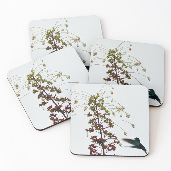 Item preview, Colibrí - Martinica, FWI designed and sold by Olivia Son.