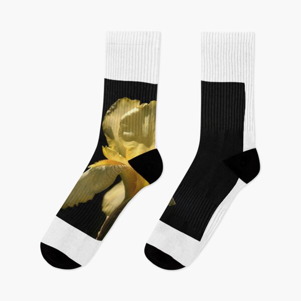 Item preview, Yellow iris on black background designed and sold by olena2552.