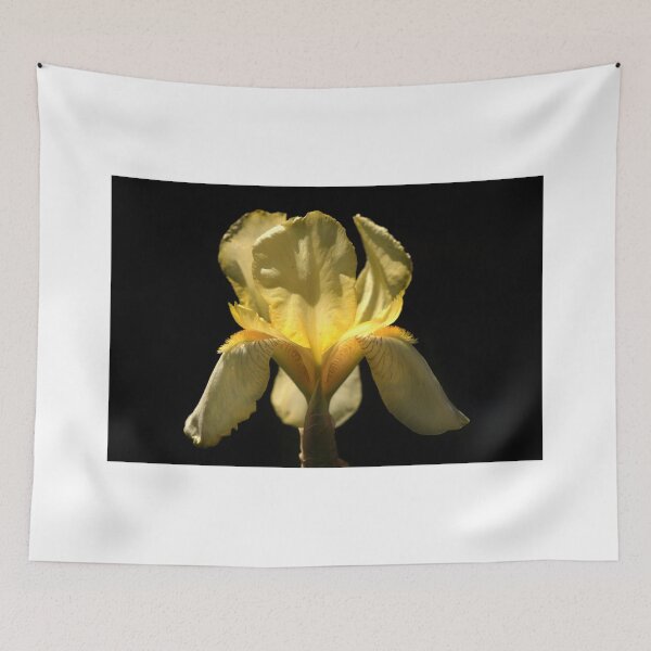 Item preview, Yellow iris on black background designed and sold by olena2552.