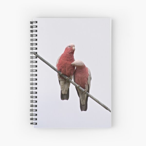 Item preview, PARROT ~ Galah UPK8PMRq by David Irwin designed and sold by tasmanianartist.