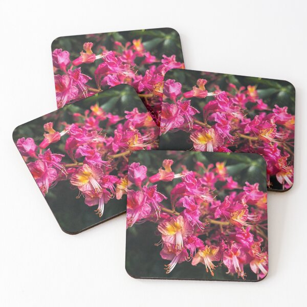 Item preview, Flores de castaño designed and sold by Muaevanna.