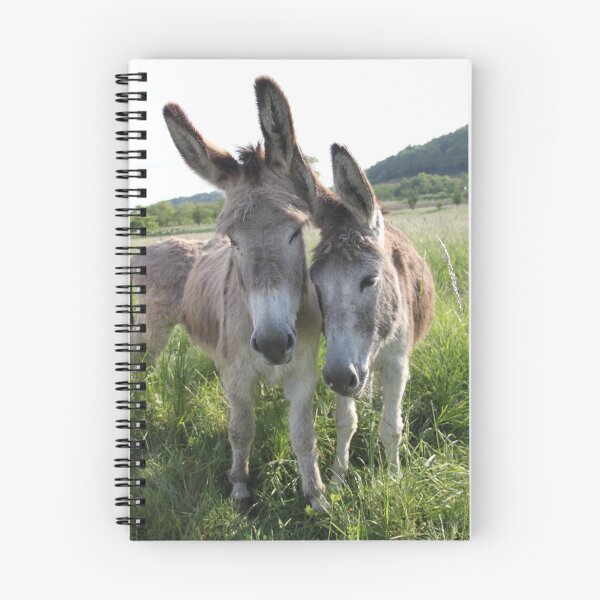 Item preview, Adorable grey donkeys in the high grass meadow	 designed and sold by EstelleRossetti.