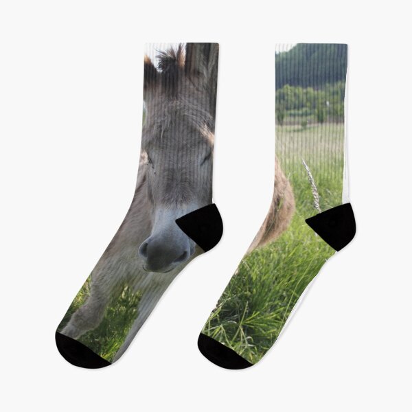 Item preview, Adorable grey donkeys in the high grass meadow	 designed and sold by EstelleRossetti.