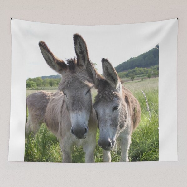 Item preview, Adorable grey donkeys in the high grass meadow	 designed and sold by EstelleRossetti.