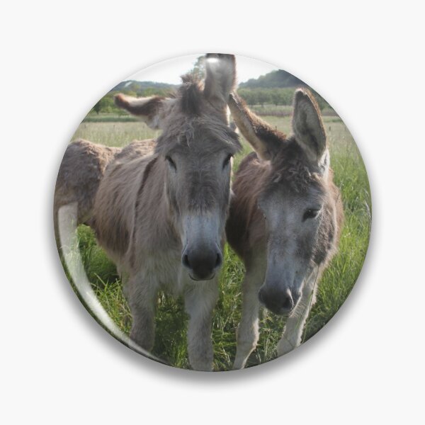 Item preview, Adorable grey donkeys in the high grass meadow	 designed and sold by EstelleRossetti.