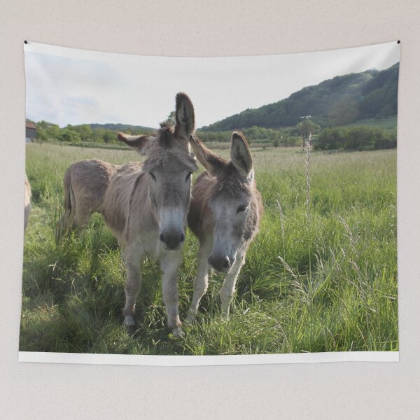 Item preview, Adorable grey donkeys in the high grass meadow	 designed and sold by EstelleRossetti.