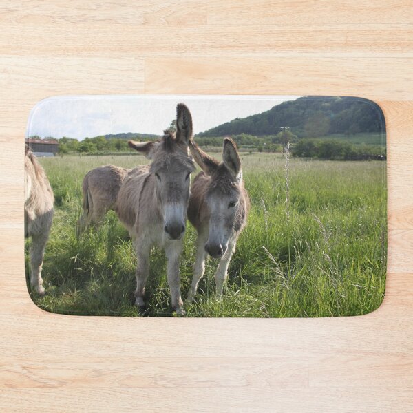 Item preview, Adorable grey donkeys in the high grass meadow	 designed and sold by EstelleRossetti.