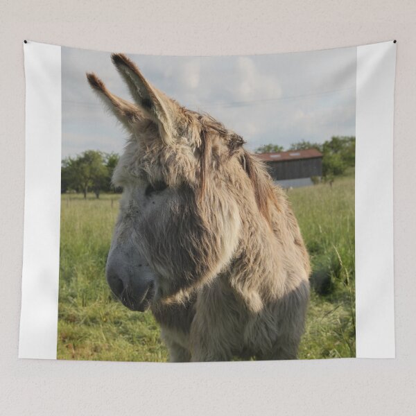 Item preview, Adorable grey donkeys in the high grass meadow	 designed and sold by EstelleRossetti.
