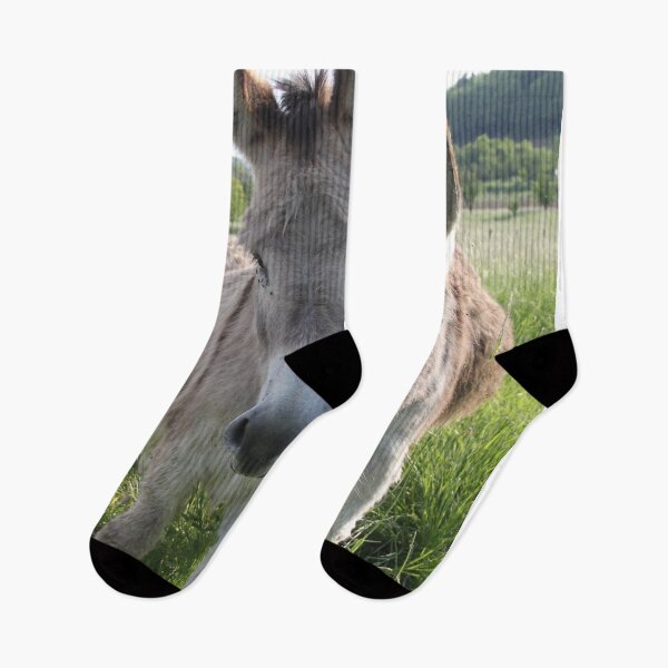 Item preview, Adorable grey donkeys in the high grass meadow	 designed and sold by EstelleRossetti.