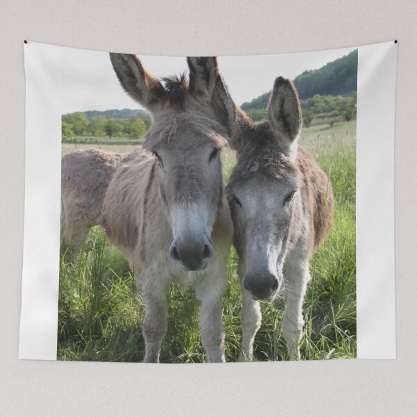 Item preview, Adorable grey donkeys in the high grass meadow	 designed and sold by EstelleRossetti.