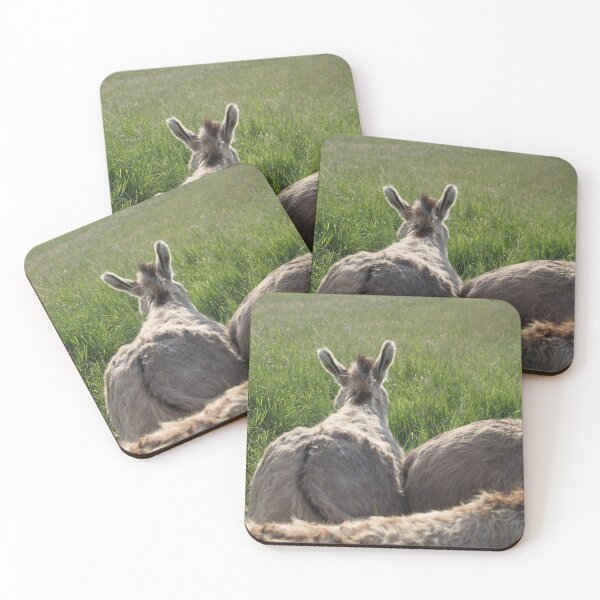 Item preview, Adorable grey donkeys in the high grass meadow	 designed and sold by EstelleRossetti.