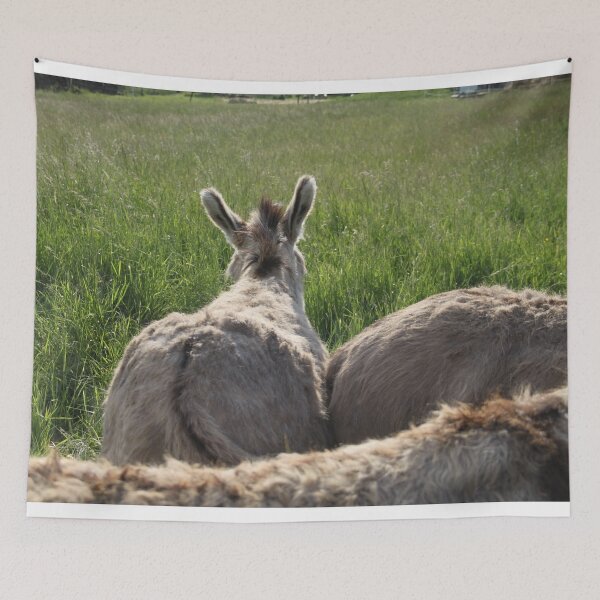 Item preview, Adorable grey donkeys in the high grass meadow	 designed and sold by EstelleRossetti.