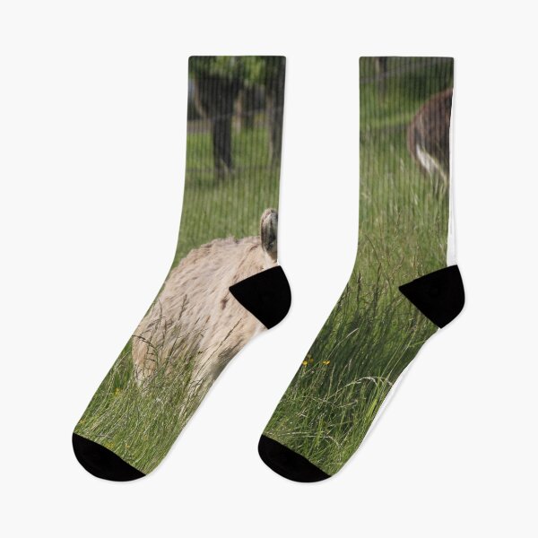 Item preview, Adorable grey donkeys in the high grass meadow	 designed and sold by EstelleRossetti.
