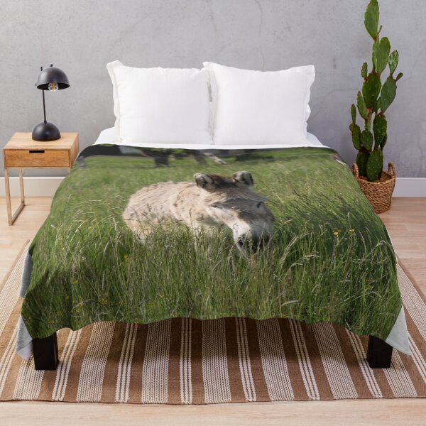 Item preview, Adorable grey donkeys in the high grass meadow	 designed and sold by EstelleRossetti.