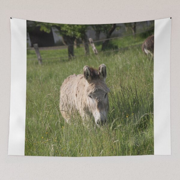 Item preview, Adorable grey donkeys in the high grass meadow	 designed and sold by EstelleRossetti.