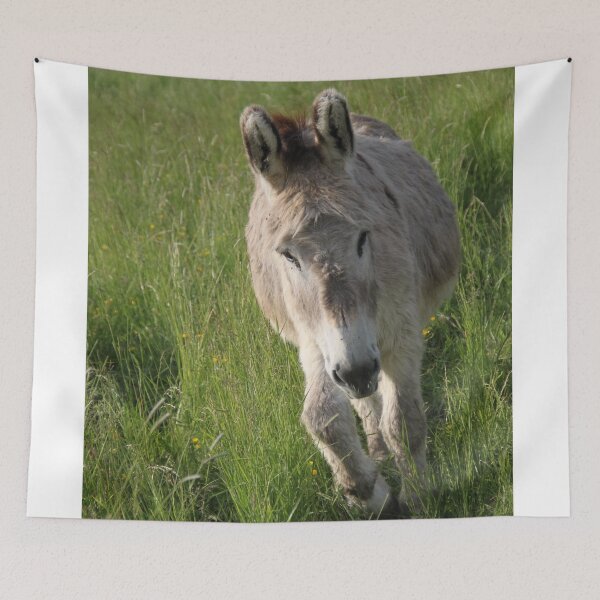 Item preview, Adorable grey donkeys in the high grass meadow	 designed and sold by EstelleRossetti.