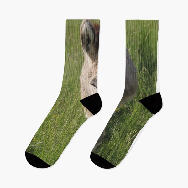 Item preview, Adorable grey donkeys in the high grass meadow	 designed and sold by EstelleRossetti.