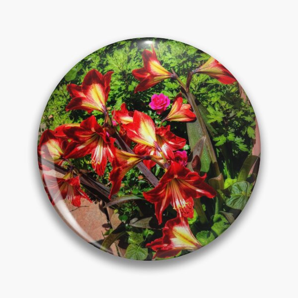 Item preview, Lilies in Corfu designed and sold by tomg.