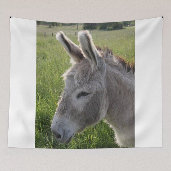 Item preview, Adorable grey donkeys in the high grass meadow	 designed and sold by EstelleRossetti.