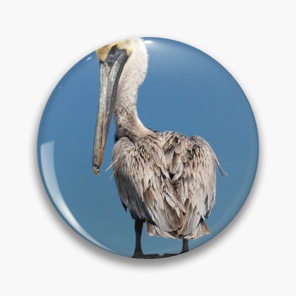 Item preview, Pelican saying "Here's Looking at you, Kid" designed and sold by PhilipBrown.