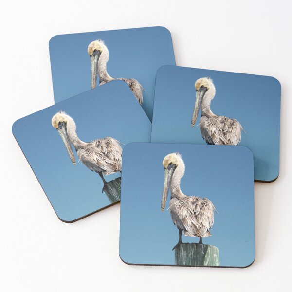 Item preview, Pelican saying "Here's Looking at you, Kid" designed and sold by PhilipBrown.